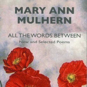 ALL THE WORDS BETWEEN